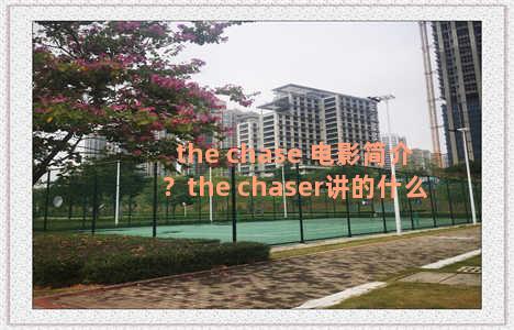 the chase 电影简介？the chaser讲的什么